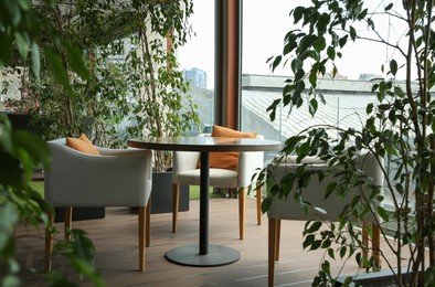 Photo of Observation area cafe. Table, armchairs and green plants on terrace