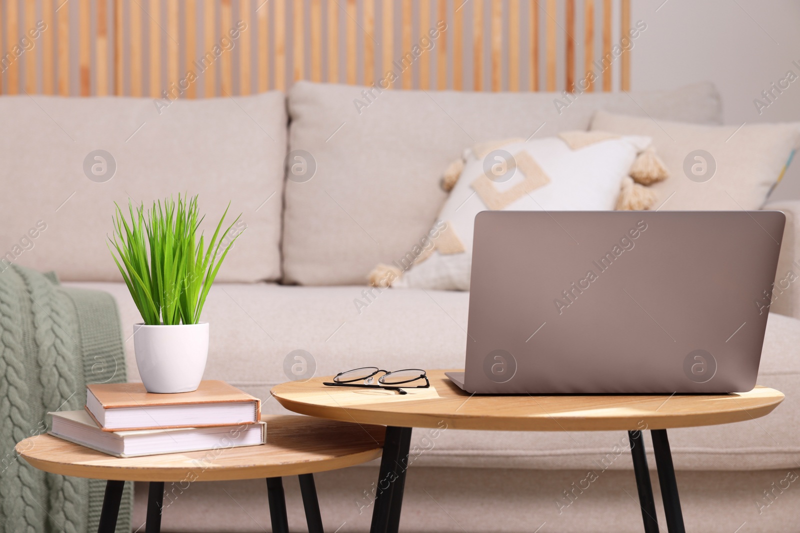 Photo of Potted artificial plant, laptop and books on wooden nesting tables indoors