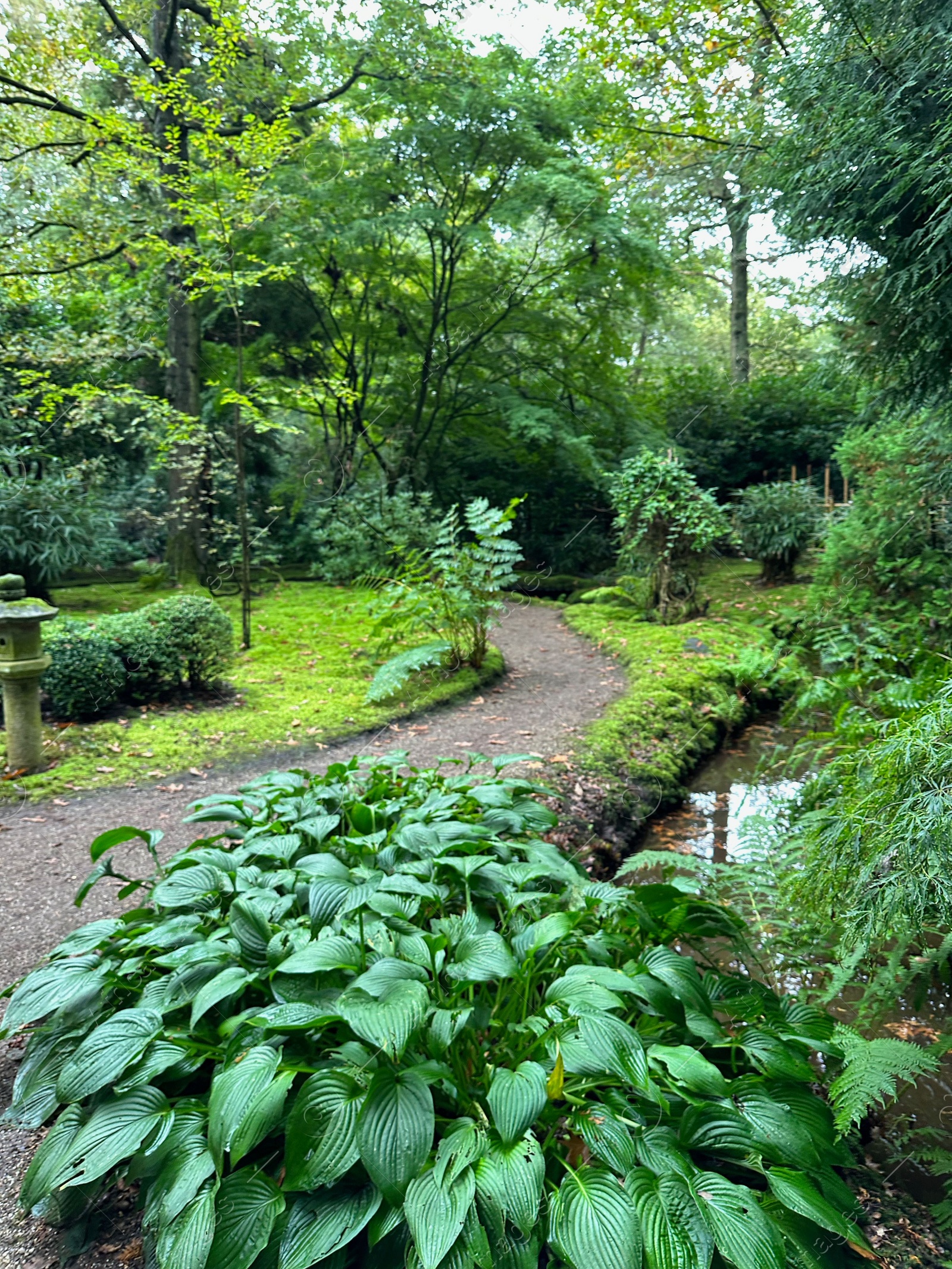 Photo of Different plants, stone lantern and pathway near little pond in Japanese garden