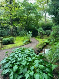 Photo of Different plants, stone lantern and pathway near little pond in Japanese garden