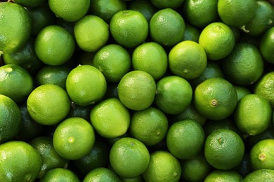 Photo of Fresh ripe green limes as background, top view