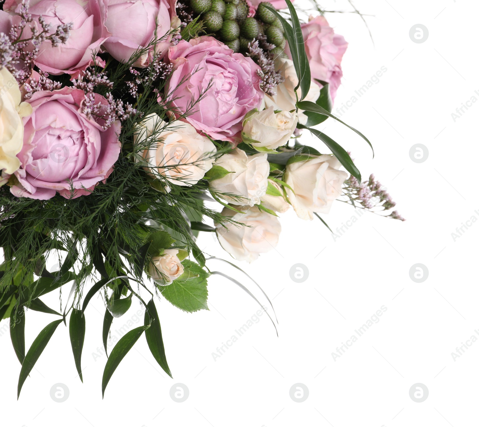 Photo of Beautiful bouquet with roses on white background. Space for text