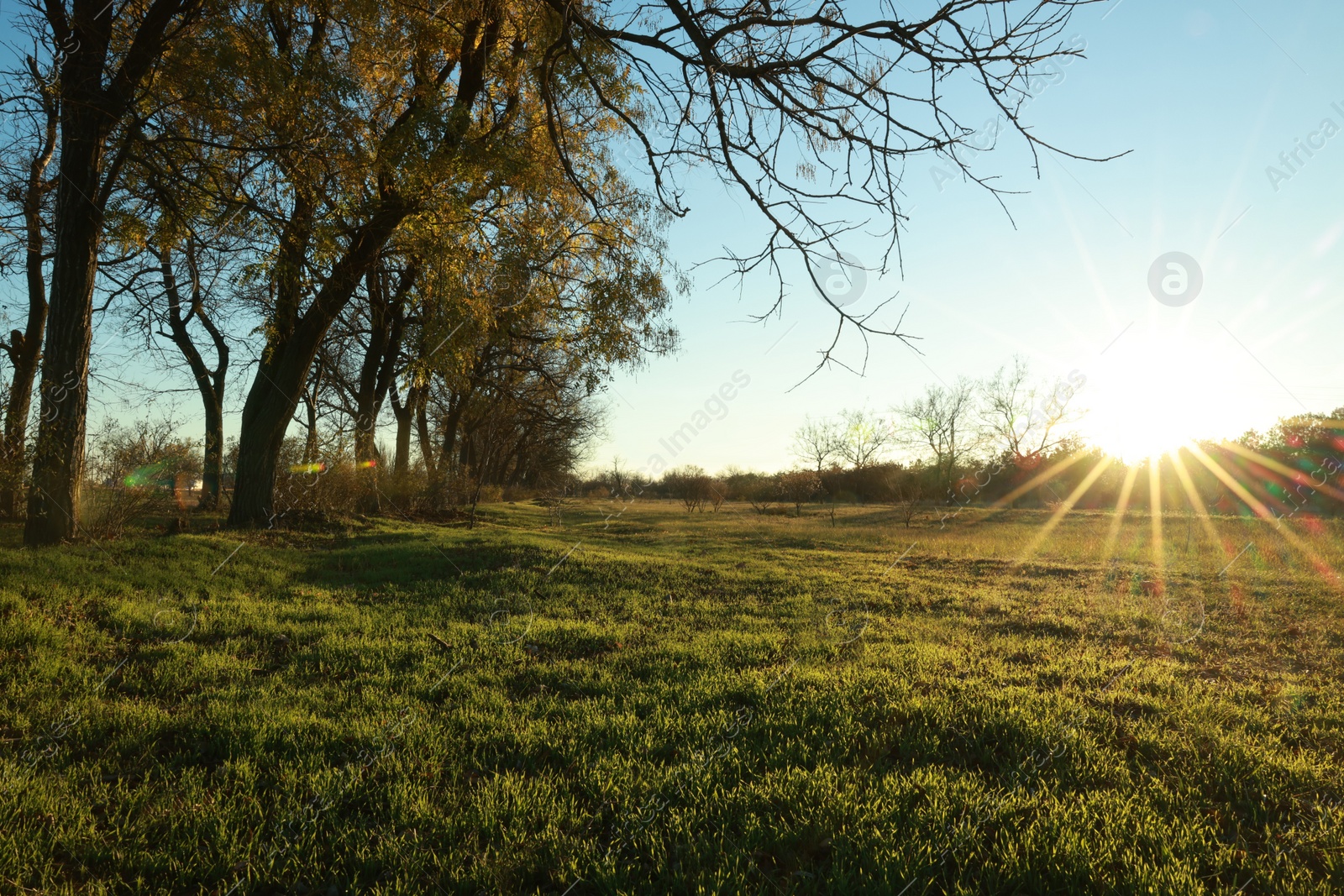 Photo of Picturesque view of beautiful countryside at sunset