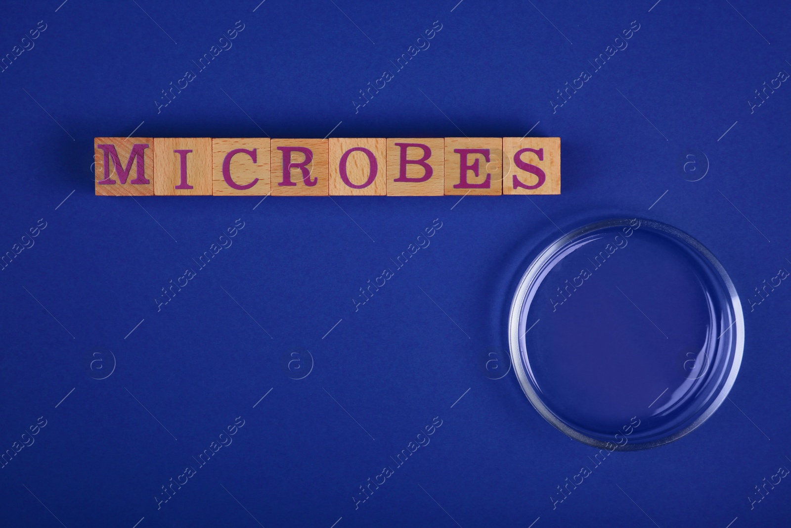 Photo of Word Microbes made with wooden cubes and magnifying glass on blue background, top view. Space for text