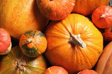 Photo of Many different pumpkins as background, closeup. Autumn holidays