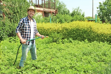 Man working in garden on sunny day