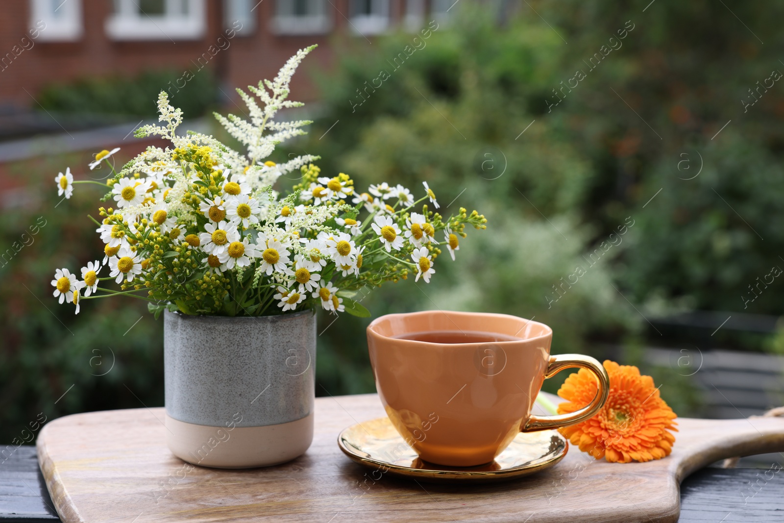 Photo of Cup of delicious chamomile tea and fresh flowers outdoors. Space for text