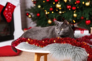 Photo of Cute cat with colorful tinsel on table in room decorated for Christmas