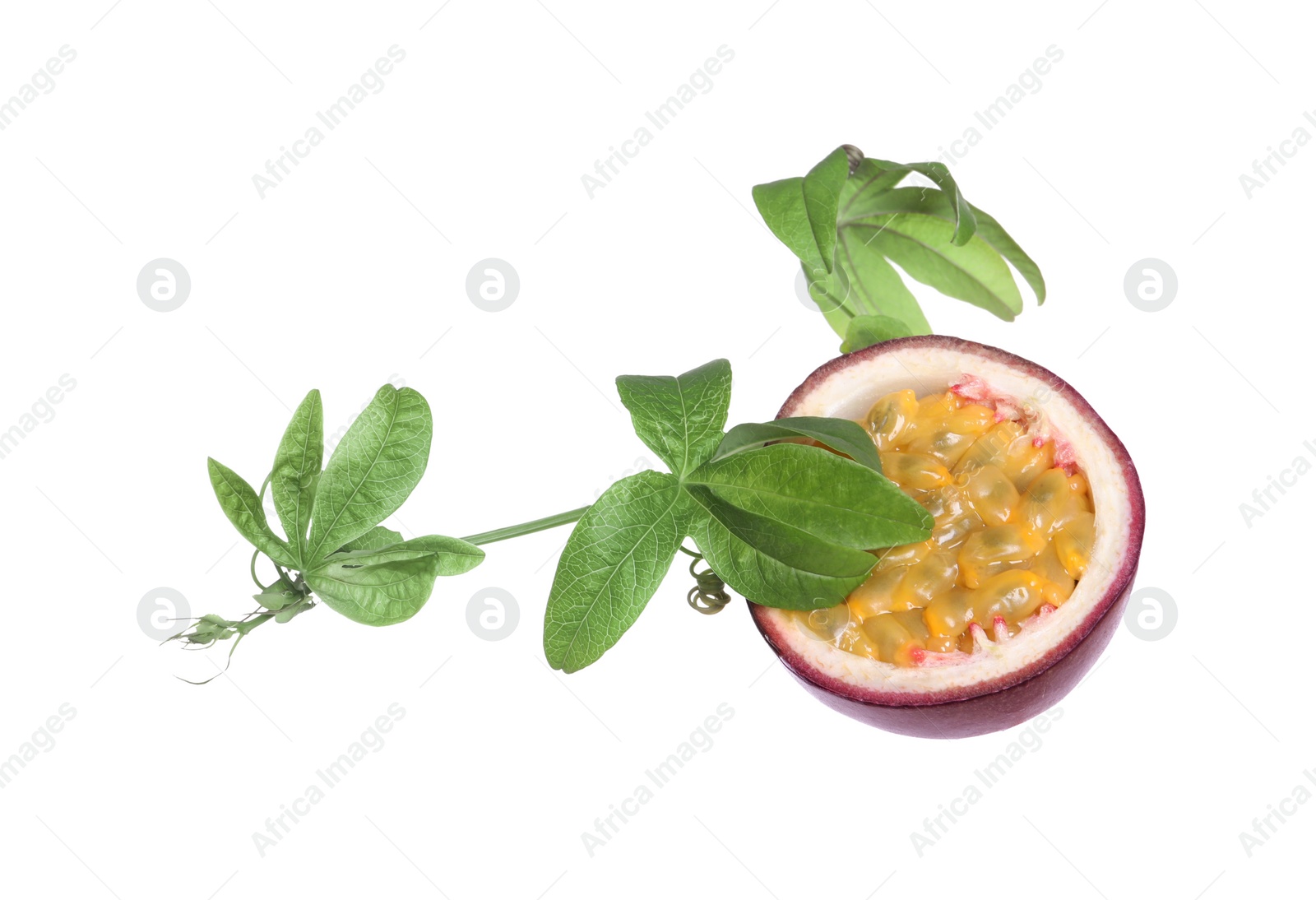 Photo of Passion fruit with leaves on white background. Passiflora plant