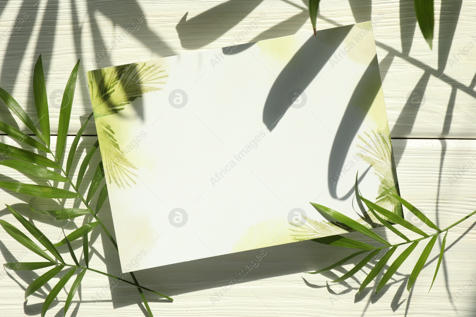 Photo of Blank invitation card and green leaves on white background, top view. Space for text