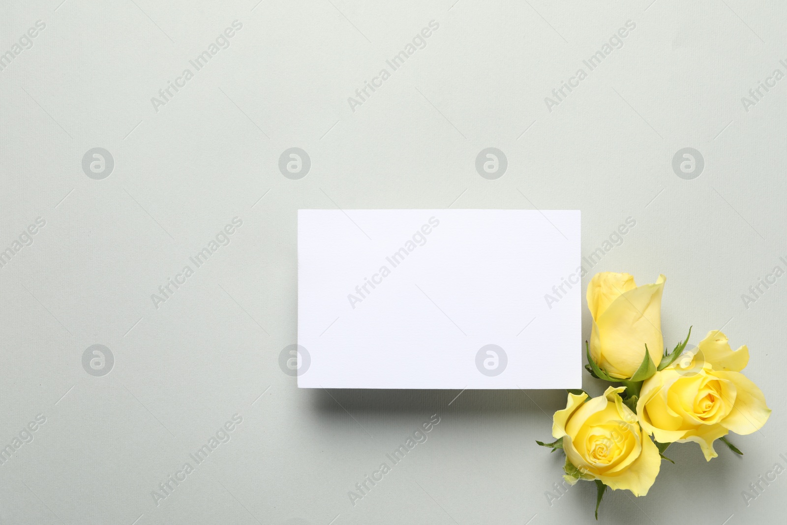 Photo of Beautiful yellow roses and blank card on light grey background, flat lay. Space for text