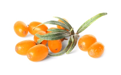 Fresh ripe sea buckthorn berries with leaves on white background