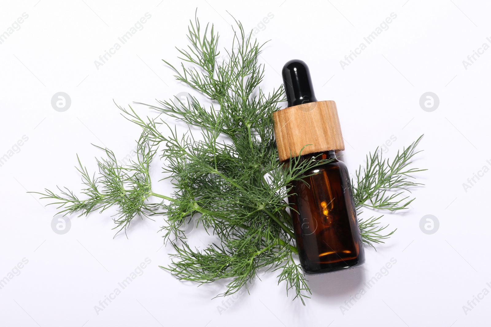 Photo of Bottle of essential oil and fresh dill on white background, top view