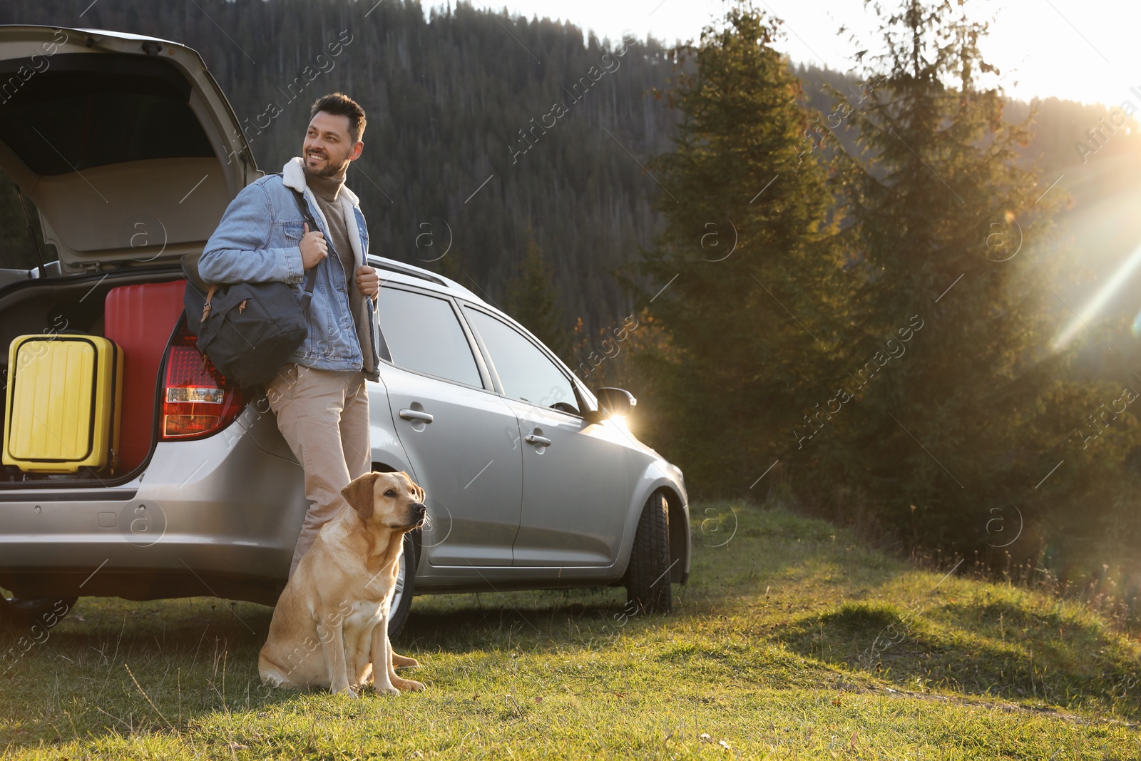 Photo of Happy man and adorable dog near car in mountains. Traveling with pet