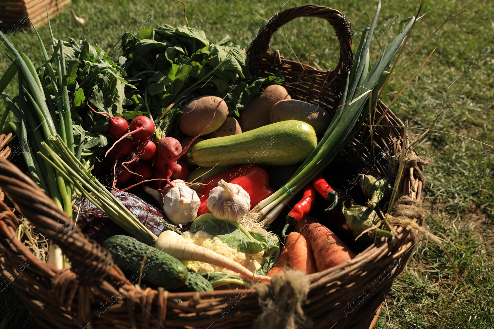 Photo of Different fresh ripe vegetables in wicker basket on grass, closeup