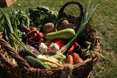Different fresh ripe vegetables in wicker basket on grass, closeup