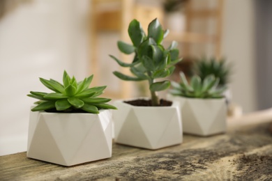 Photo of Beautiful potted succulents on wooden table indoors. Space for text
