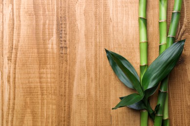 Photo of Bamboo stems and leaves on wooden table, flat lay. Space for text