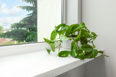 Photo of Epipremnum in pot on windowsill indoors, space for text. House plant