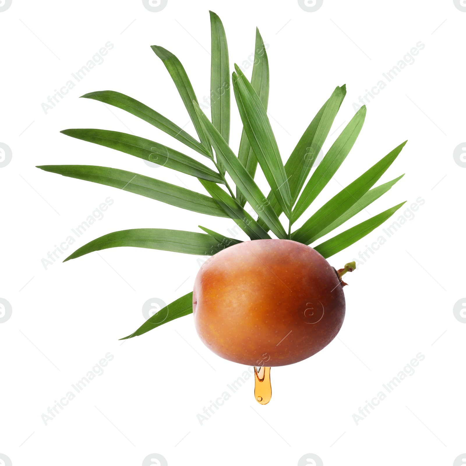 Image of Oil dripping from palm fruit on white background