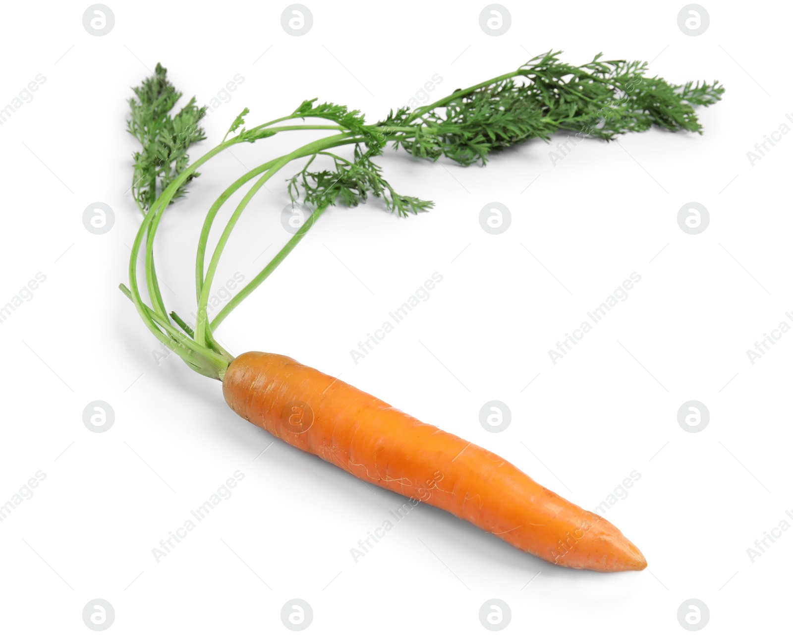 Photo of Ripe carrot on white background. Healthy diet