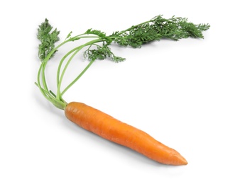 Photo of Ripe carrot on white background. Healthy diet