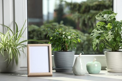 Photo of Different houseplants and blank photo frame on wooden window sill