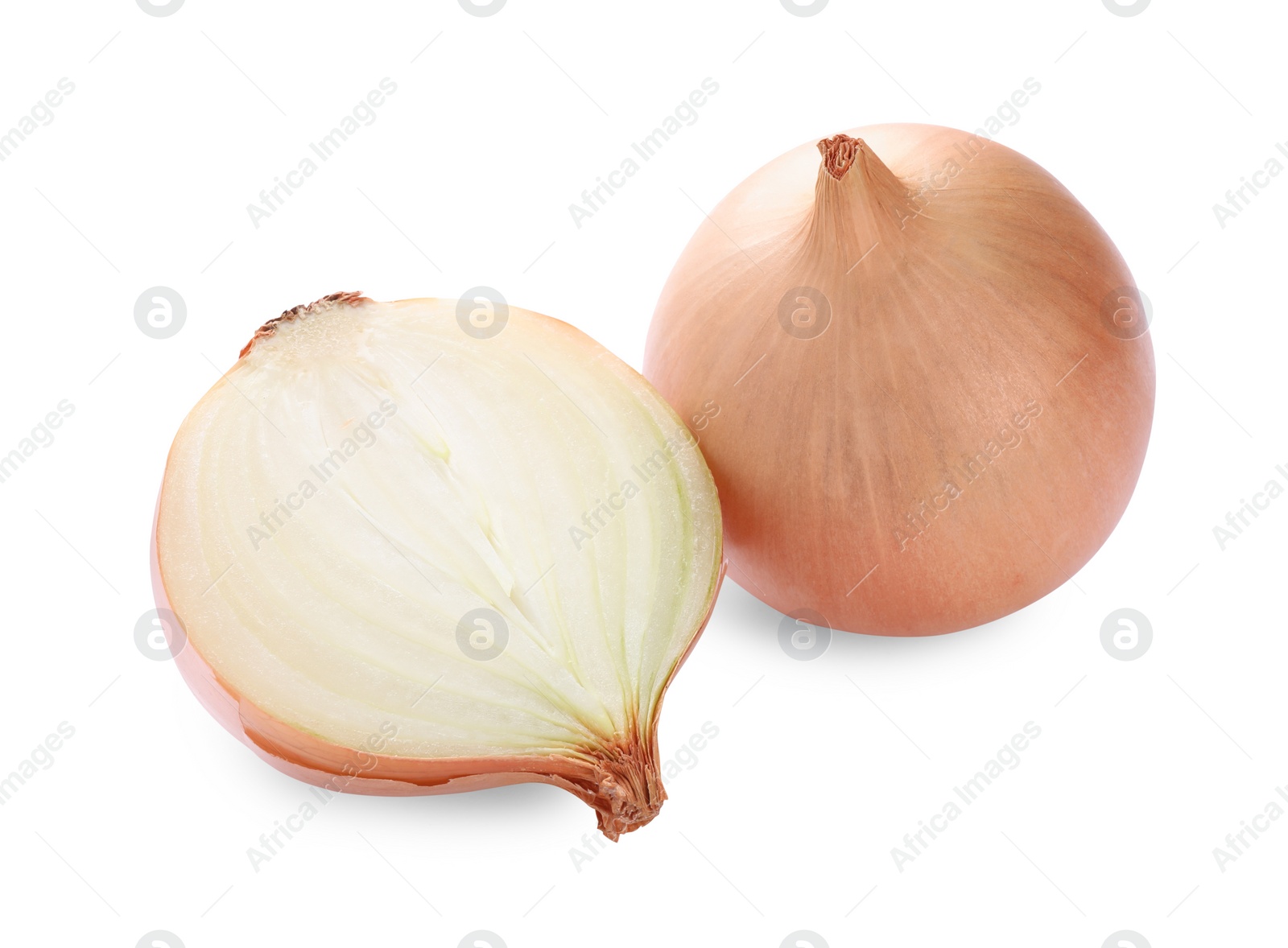 Photo of Whole and cut onions on white background