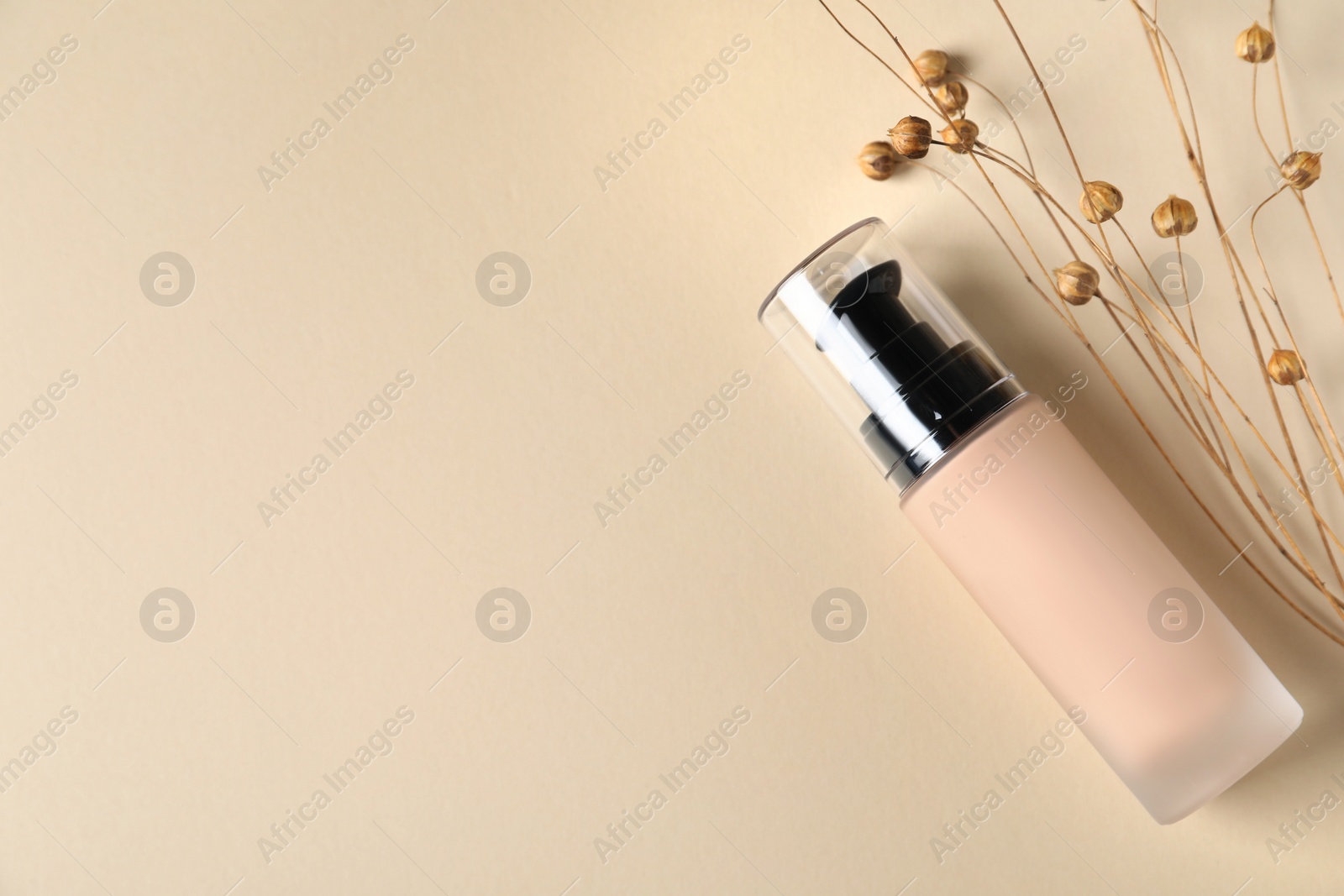 Photo of Bottle of skin foundation and decorative plants on beige background, flat lay with space for text. Makeup product