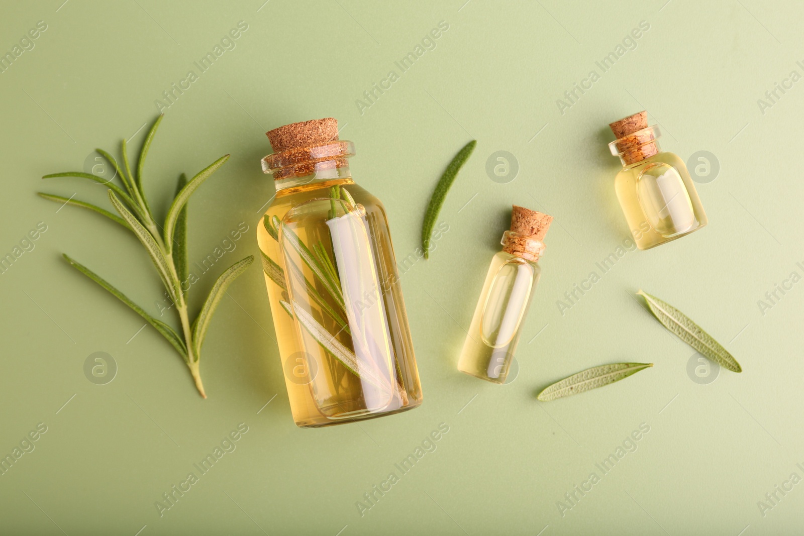 Photo of Aromatic essential oils in bottles and rosemary on green background, flat lay