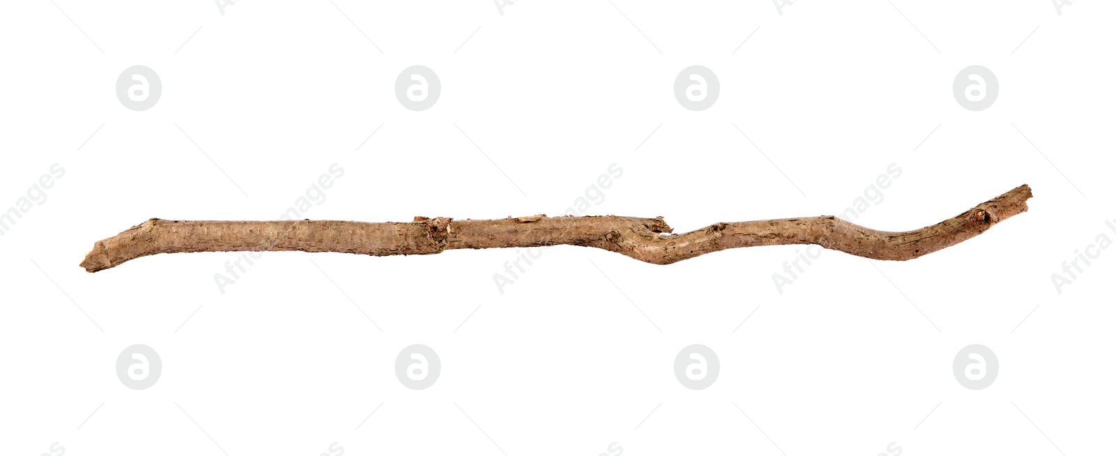 Photo of One dry tree branch isolated on white