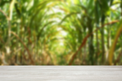 Image of Empty wooden surface and blurred view of green corn leaves in field. Space for text