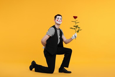 Photo of Funny mime artist with red rose posing on orange background