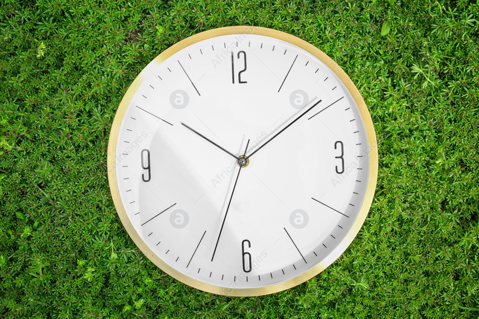 Photo of Big clock on green plants, outdoors. Time change concept