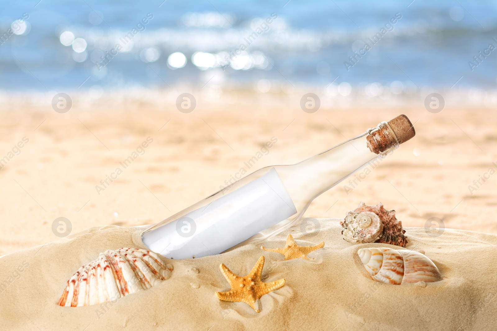 Image of Corked glass bottle with rolled paper note and seashells on sandy beach near ocean