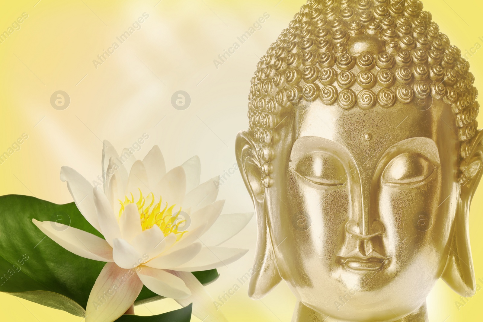Image of Beautiful golden Buddha sculpture and lotus flower on color background