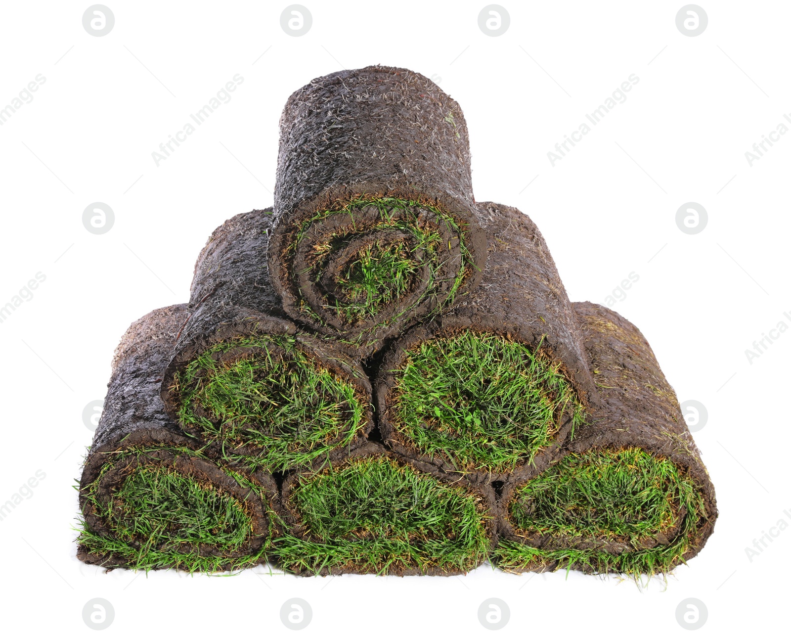 Photo of Rolls of grass sod on white background