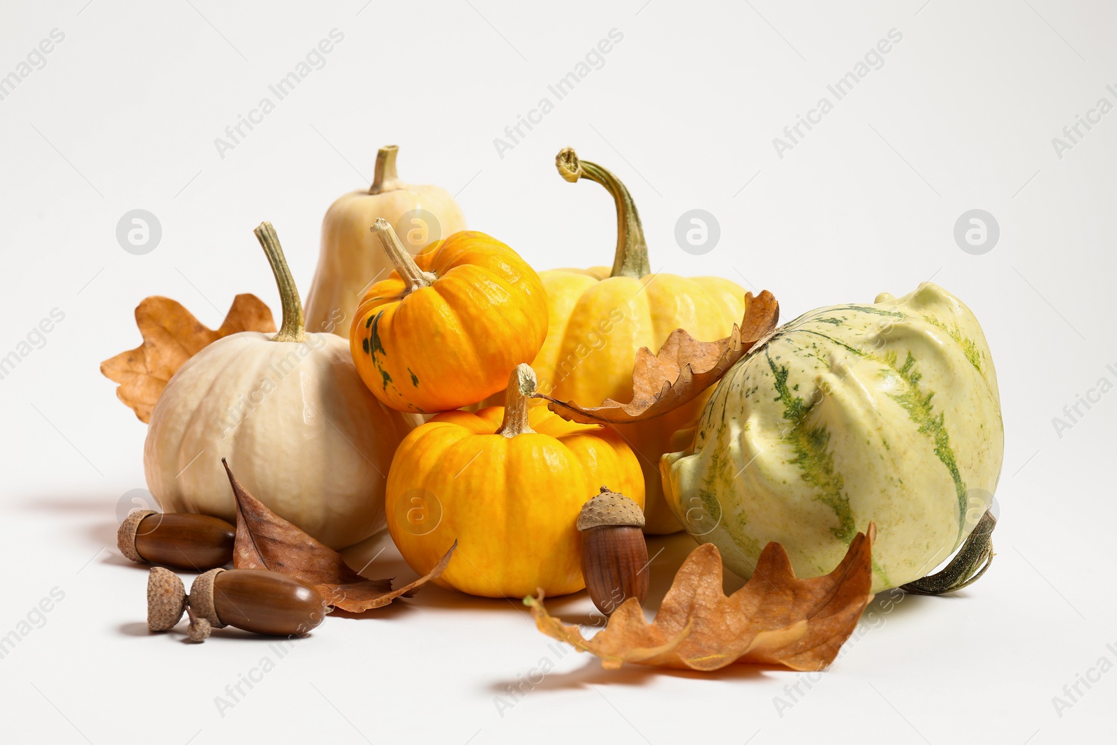 Photo of Happy Thanksgiving day. Beautiful composition with pumpkins on white background