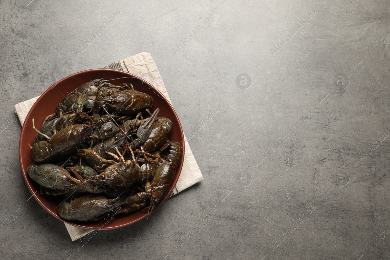 Photo of Fresh raw crayfishes on grey table, top view. Space for text