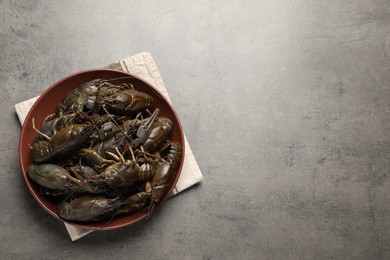 Photo of Fresh raw crayfishes on grey table, top view. Space for text