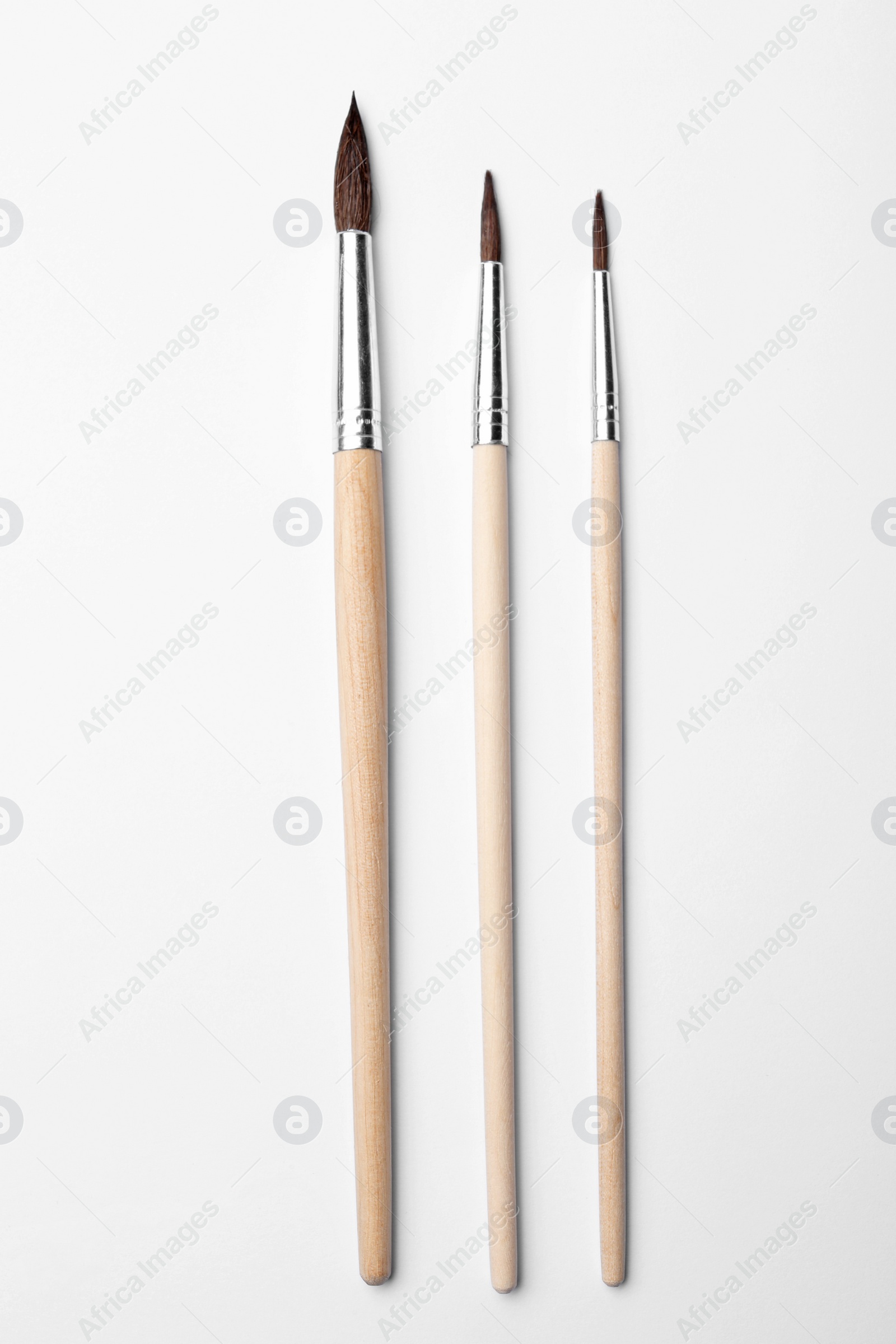 Photo of Different paint brushes on white background, top view