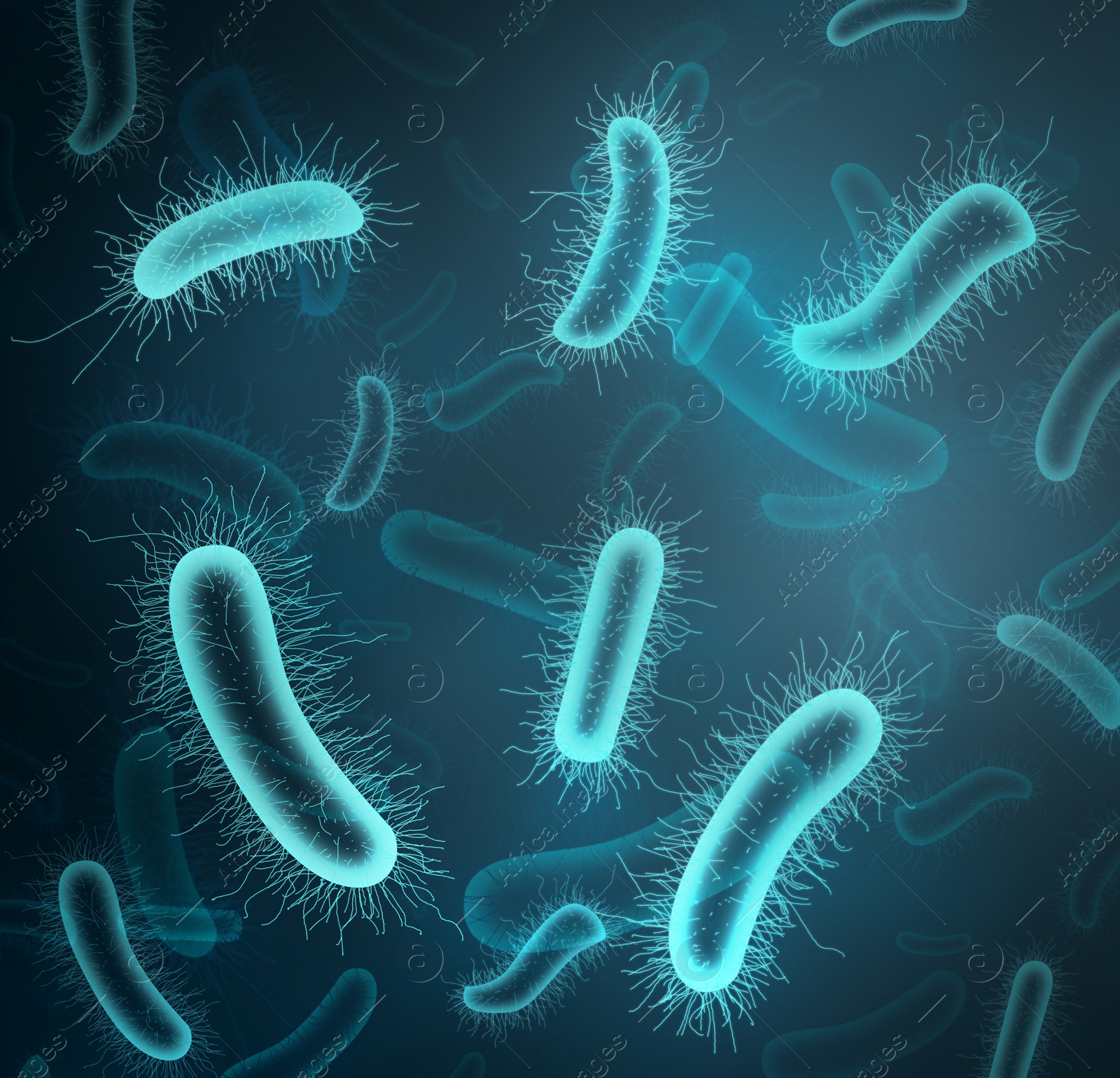 Illustration of Closeup view of bacteria under microscope. Illustration