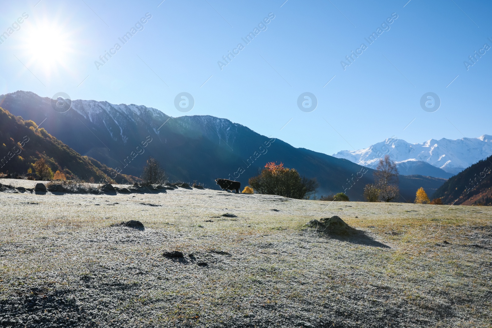 Photo of Picturesque view of beautiful high mountains under blue sky on sunny day