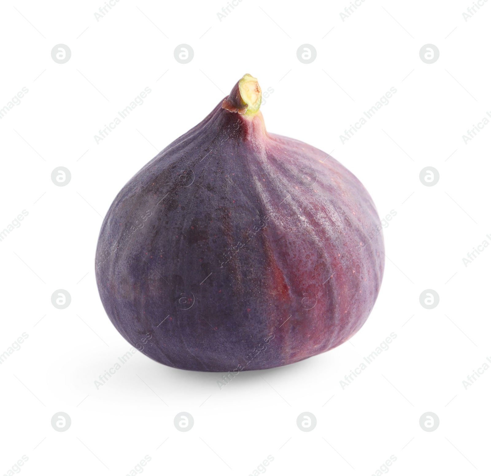 Photo of Whole ripe fresh fig isolated on white