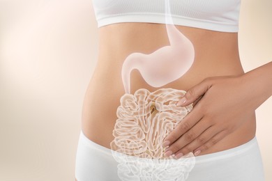 Image of Woman with healthy digestive system on light background, closeup. Illustration of gastrointestinal tract