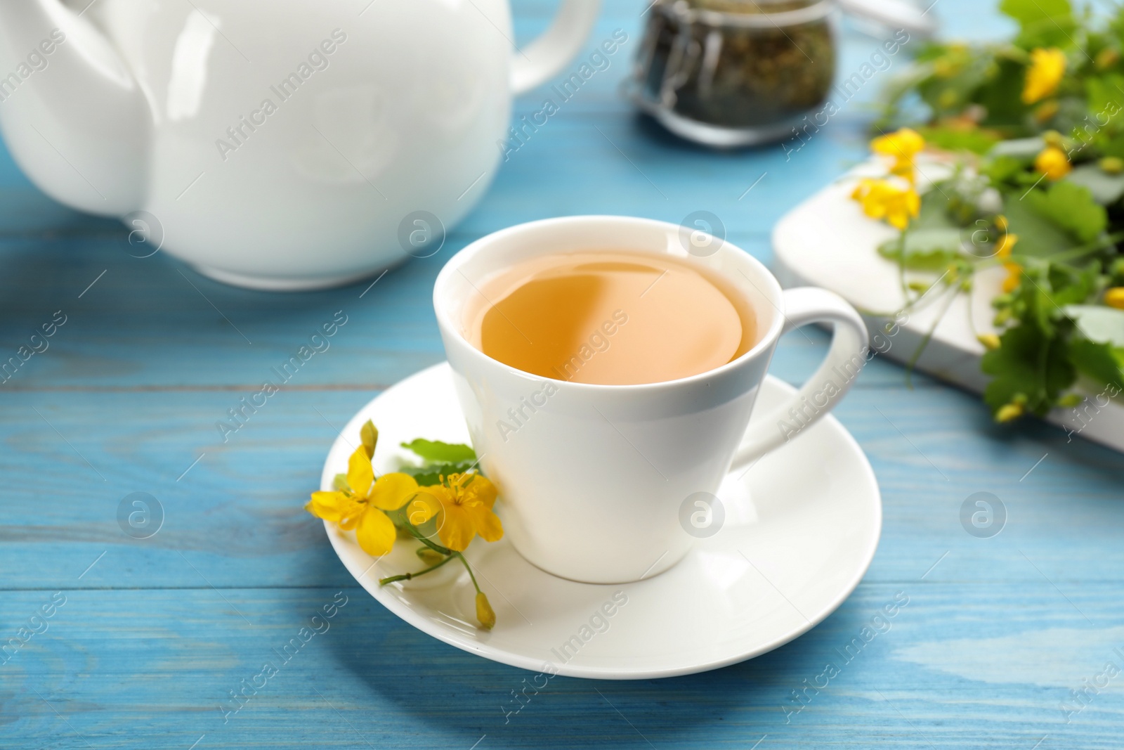 Photo of Cup of aromatic celandine tea and flowers on light blue wooden table