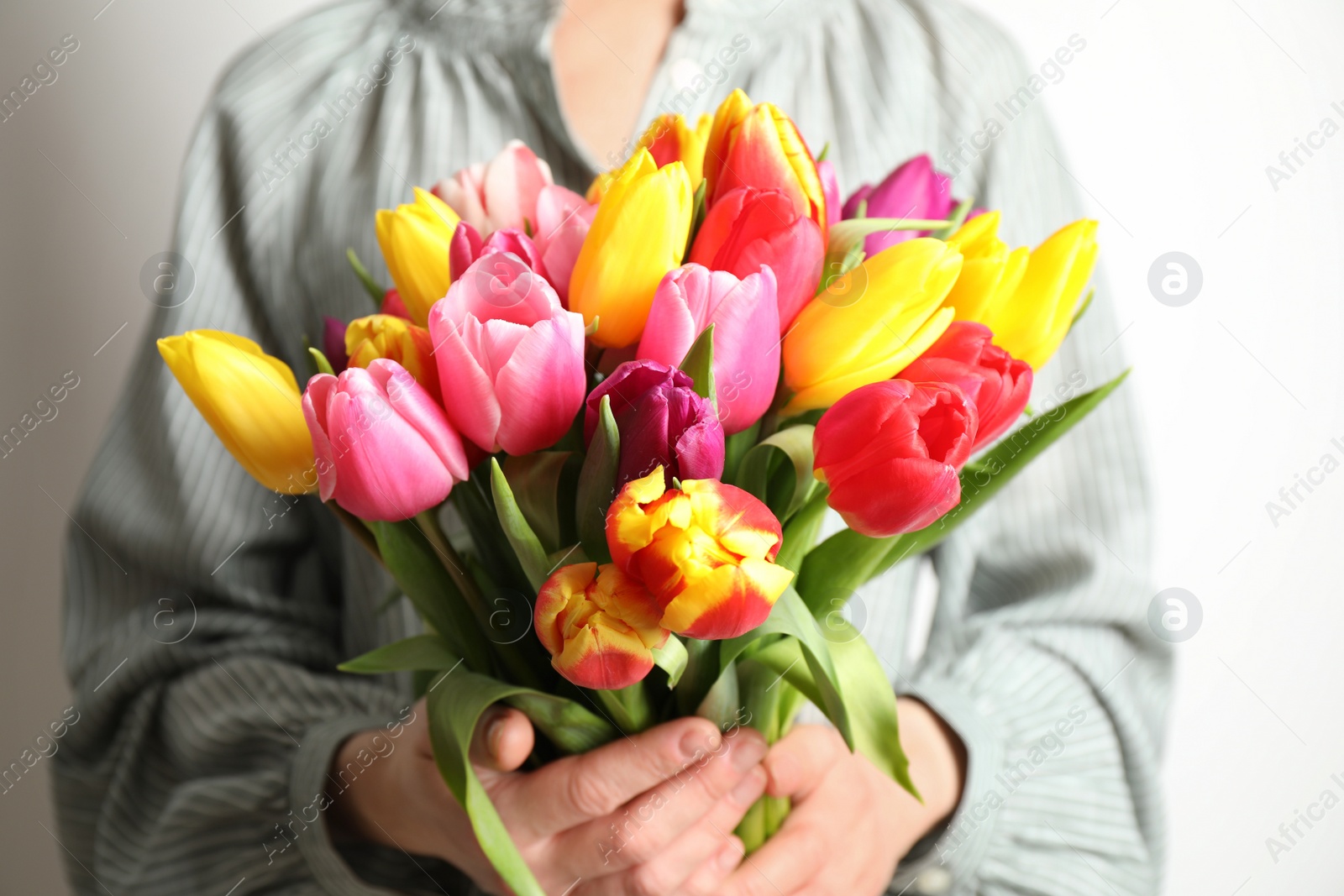 Photo of Woman holding beautiful spring tulips on white background, closeup