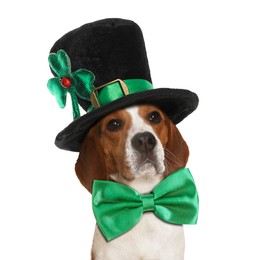 Image of St. Patrick's day celebration. Cute Beagle dog with green bow tie and leprechaun hat isolated on white