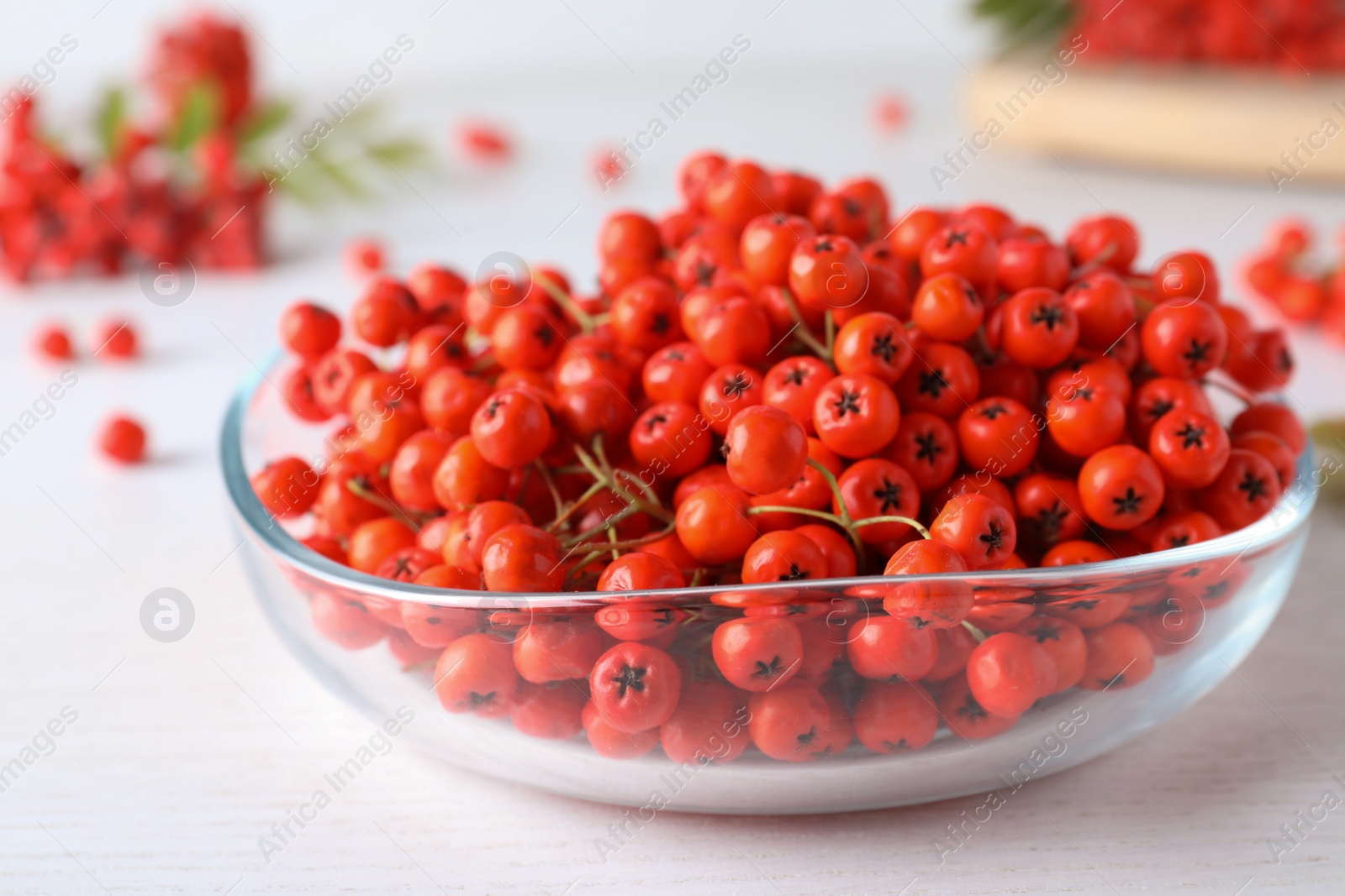 Photo of Fresh ripe rowan berries in glass bowl on white wooden table, closeup