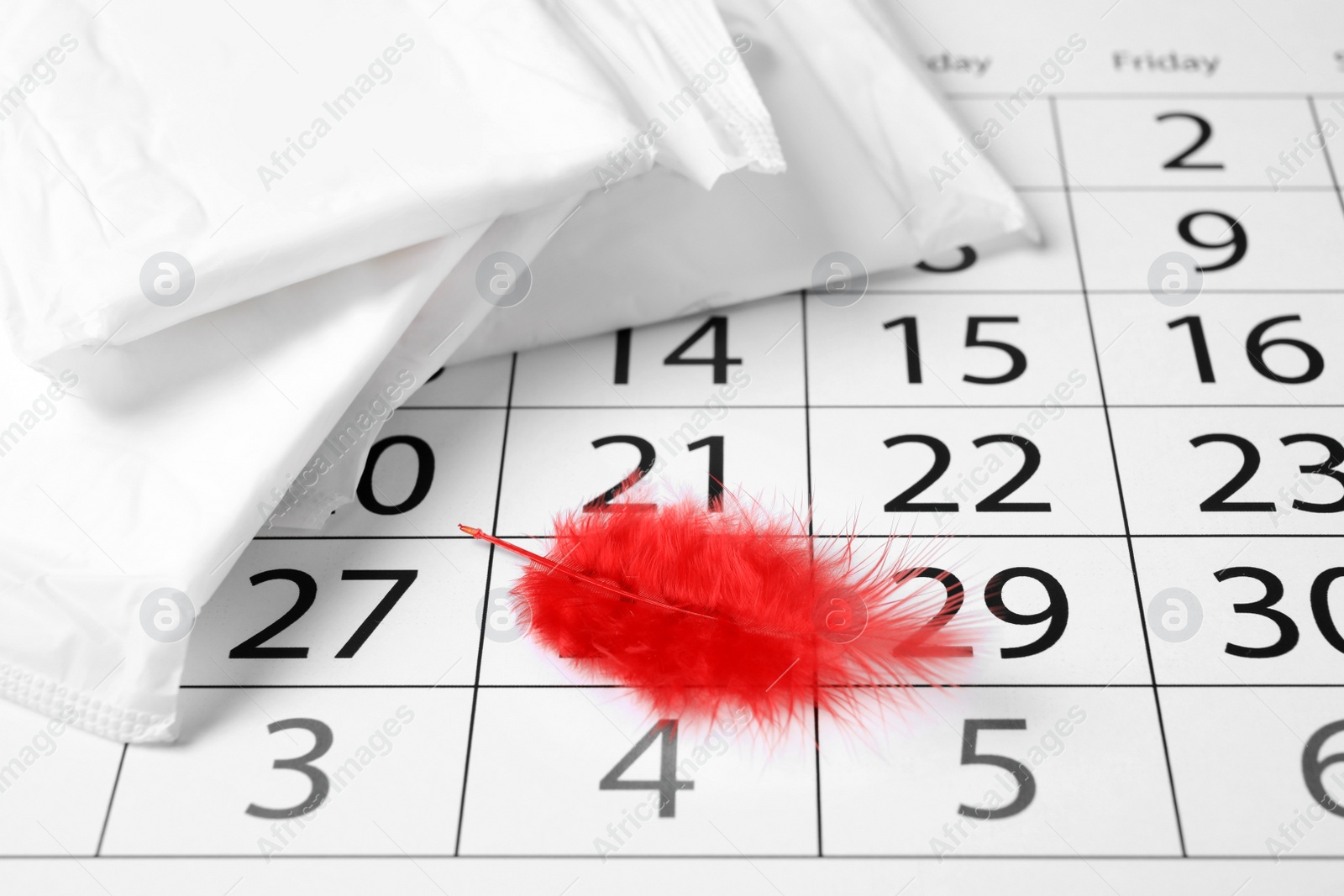 Photo of Packed menstrual pads with red feather and calendar, closeup. Gynecological care